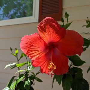 Meet your Posher, Eileen